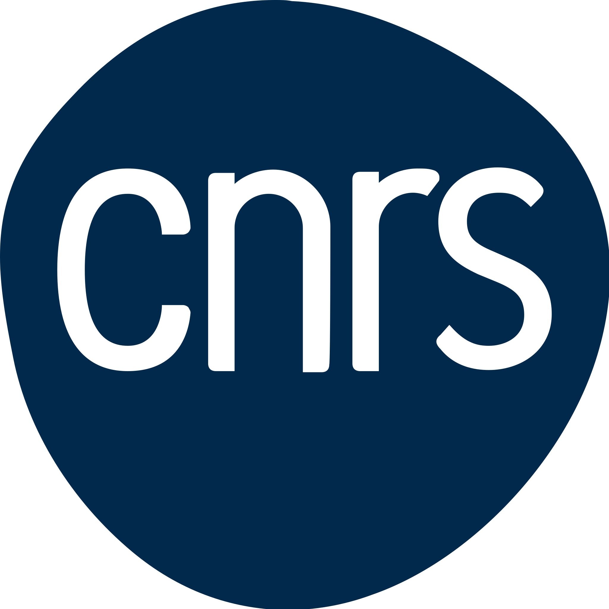 CNRS Logo